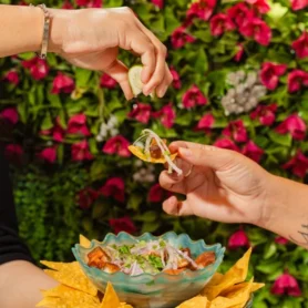Manos sirviendo un plato de comida colombiana rodeado de flores y decoración natural